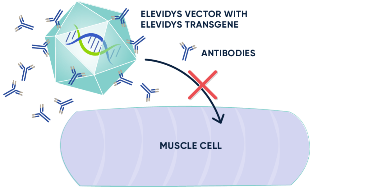 Antibody testing is part of the elegibiliy process