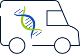 ELEVIDYS micro-dystrophin