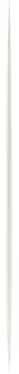 vertical divider