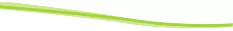 green-divider