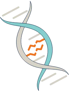 Range of genetic mutations