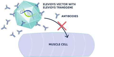 Antibody testing is part of the elegibiliy process