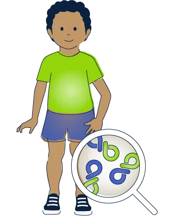ELEVIDYS micro-dystrophin